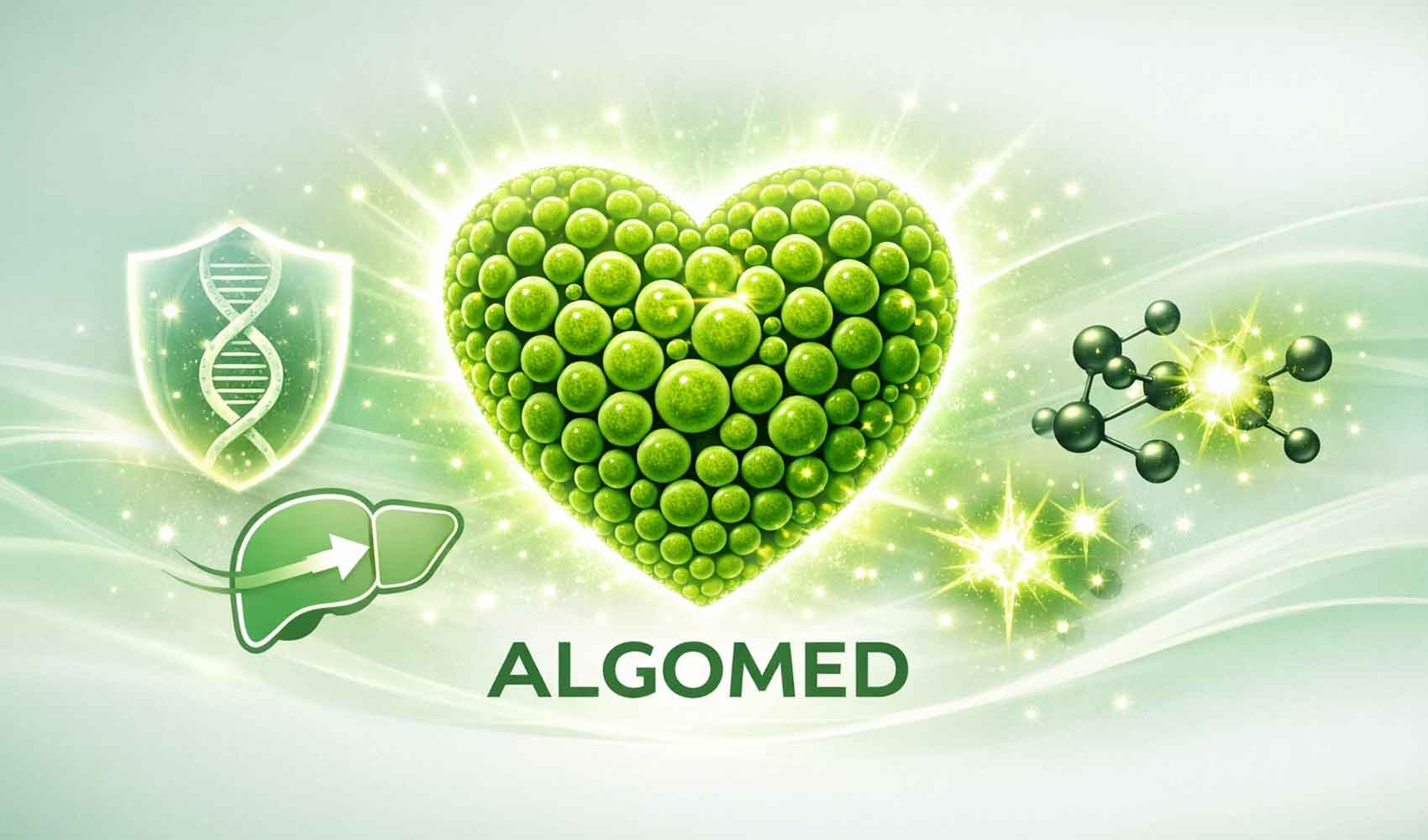 آلگومد و سم‌زدایی بدن | قوی‌ترین آنتی‌اکسیدان طبیعی