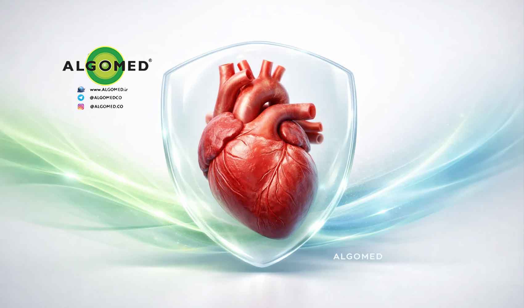 آلگومد و سلامت قلب کاهش فشار خون، کلسترول و تصلب شرایین