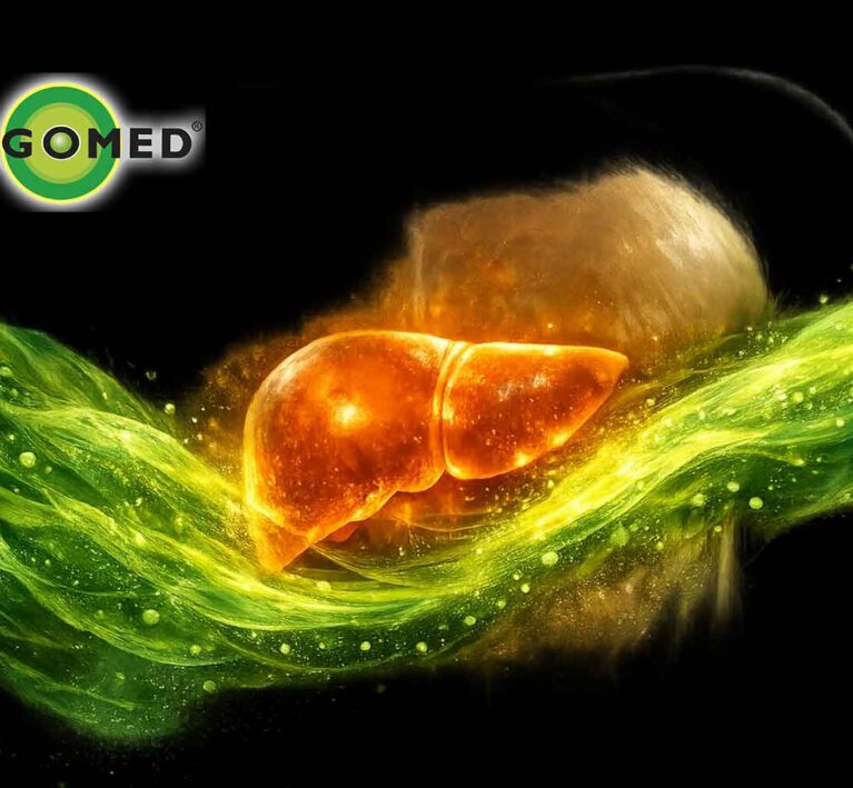 آلگومد و سلامت کبد درمان کبد چرب، پیشگیری از آسیب و سرطان کبد