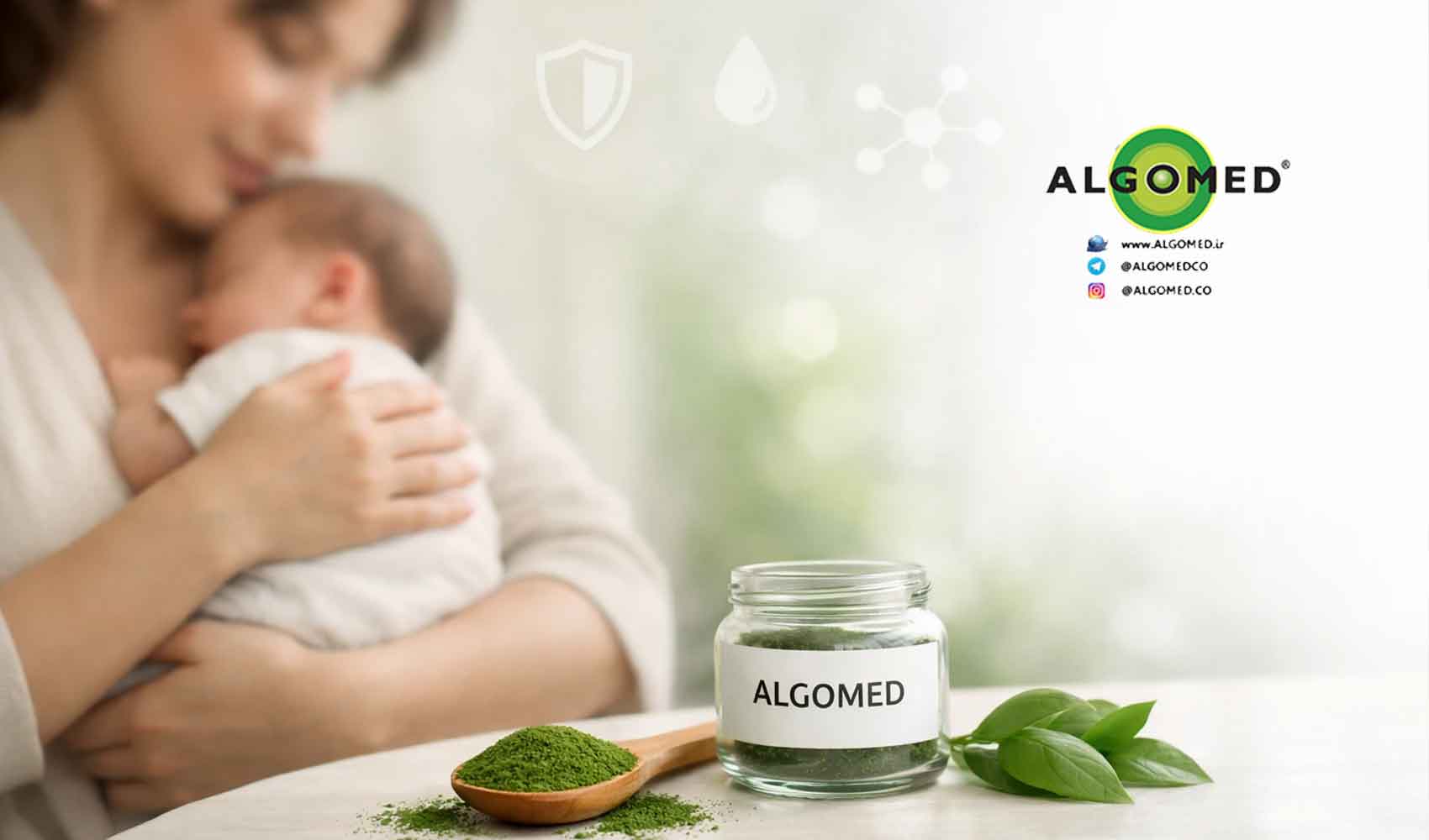 تأثیر آلگومد بر شیر مادر