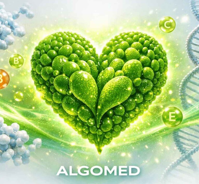 خواص تغذیه‌ای آلگومد چرا Algomed یک سوپرفود واقعی است؟