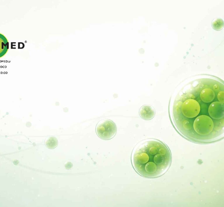 آلگومد چیست و چرا به آن سوپرفود گفته می‌شود؟