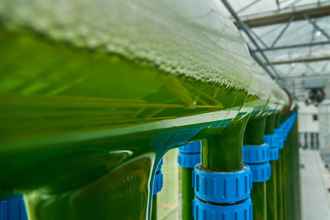 فضای تولید محصولات آلگومد با رعایت استانداردهای کیفی