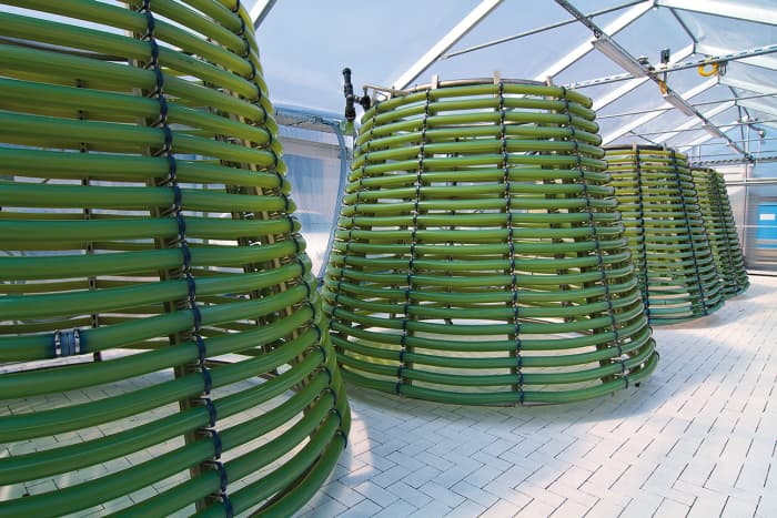 فضای تولید محصولات آلگومد با رعایت استانداردهای کیفی