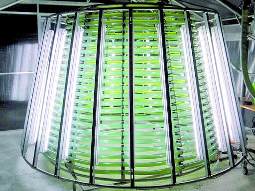 فضای تولید محصولات آلگومد با رعایت استانداردهای کیفی