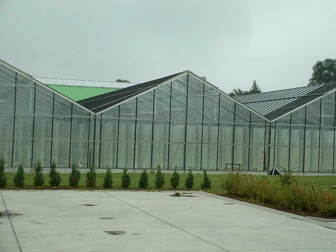 فضای تولید محصولات آلگومد با رعایت استانداردهای کیفی