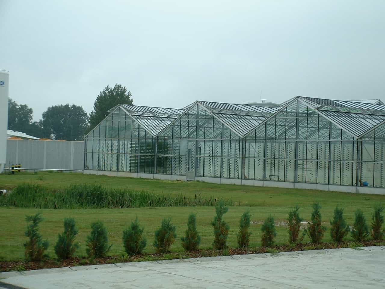 فضای تولید محصولات آلگومد با رعایت استانداردهای کیفی