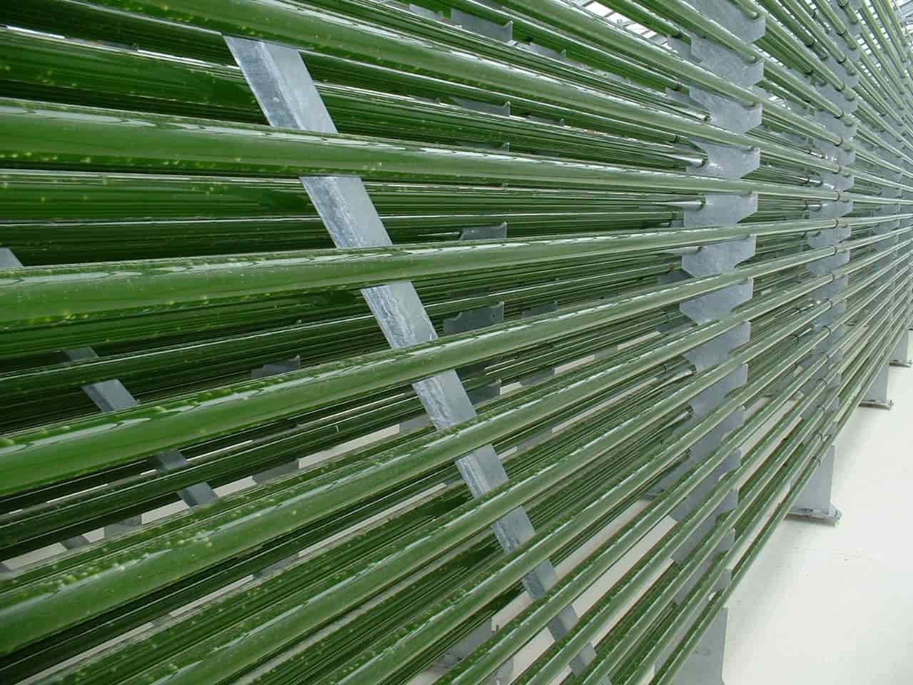 فضای تولید محصولات آلگومد با رعایت استانداردهای کیفی